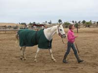 /international/2006Walvisbay/images/Stabling/thumbnails/walvis2 041.jpg